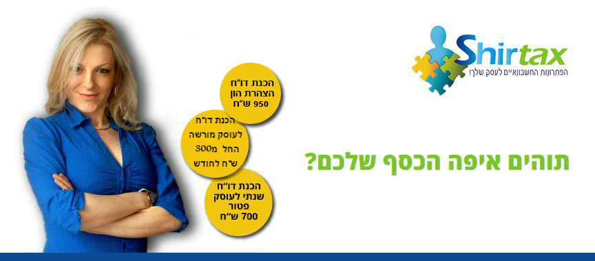 דוח מס הכנסה